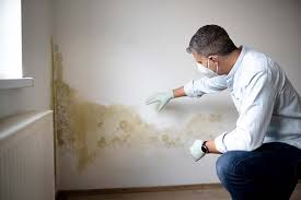 Best Residential Mold Inspection & Testing  in Nixon, TX